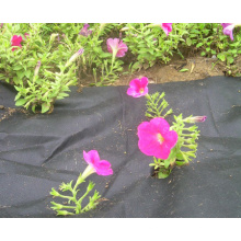 Landscape Geotextile Fabric, Weed Barrier in Low Price of High Quality